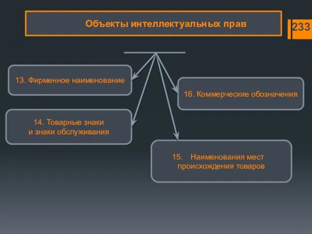 13. Фирменное наименование 16. Коммерческие обозначения Наименования мест происхождения товаров