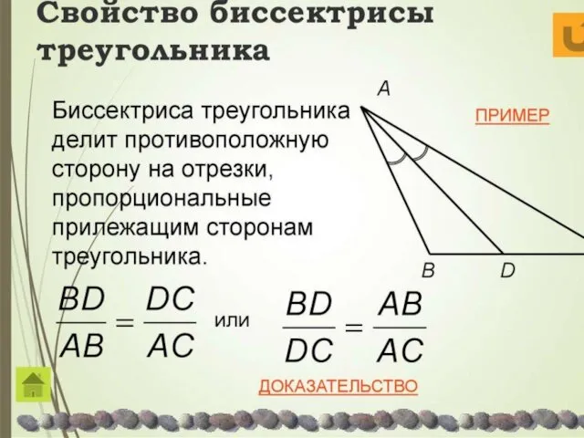 Свойство биссектрисы треугольника C B A Биссектриса треугольника делит противоположную