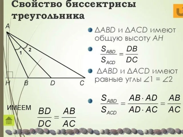Свойство биссектрисы треугольника ΔABD и ΔACD имеют общую высоту AH