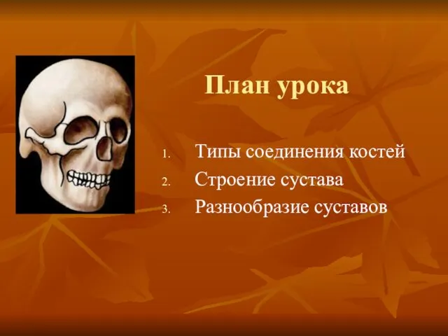 План урока Типы соединения костей Строение сустава Разнообразие суставов