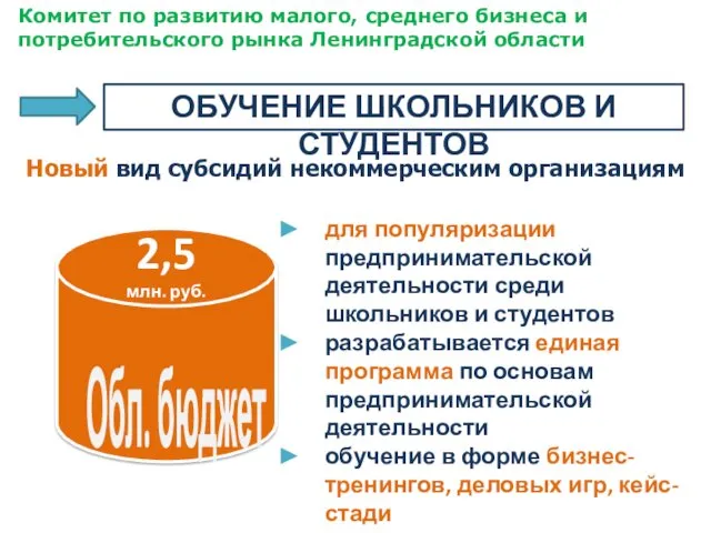 Новый вид субсидий некоммерческим организациям для популяризации предпринимательской деятельности среди