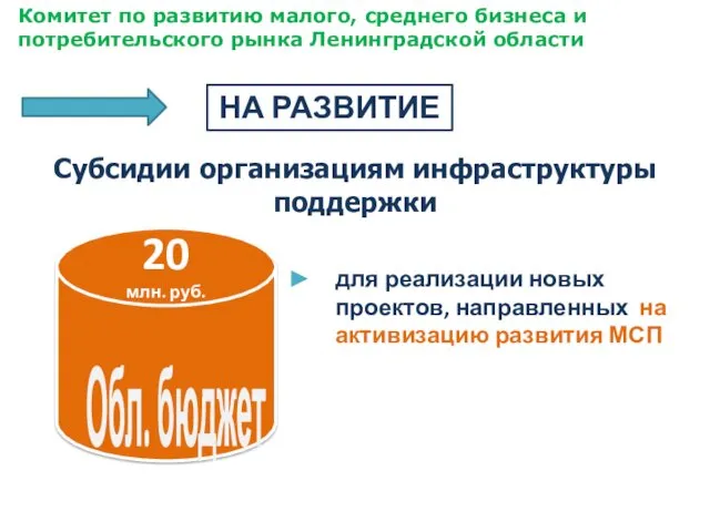 Субсидии организациям инфраструктуры поддержки для реализации новых проектов, направленных на