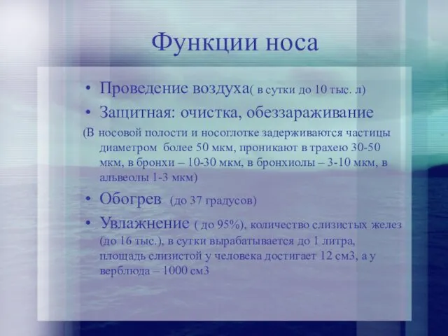 Функции носа Проведение воздуха( в сутки до 10 тыс. л)