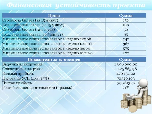 Финансовая устойчивость проекта