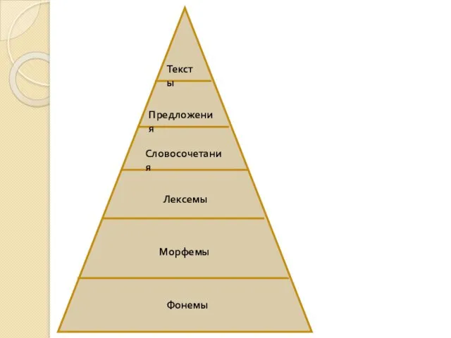 Тексты Предложения Словосочетания Фонемы Лексемы Морфемы