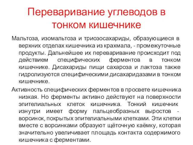 Переваривание углеводов в тонком кишечнике Мальтоза, изомальтоза и триозосахариды, образующиеся