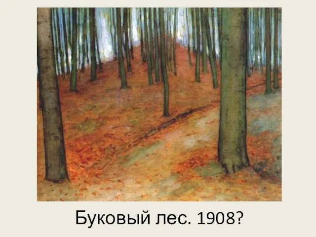 Буковый лес. 1908?