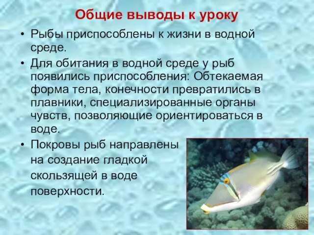 Общие выводы к уроку Рыбы приспособлены к жизни в водной среде. Для обитания