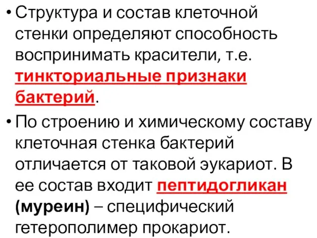 Структура и состав клеточной стенки определяют способность воспринимать красители, т.е.