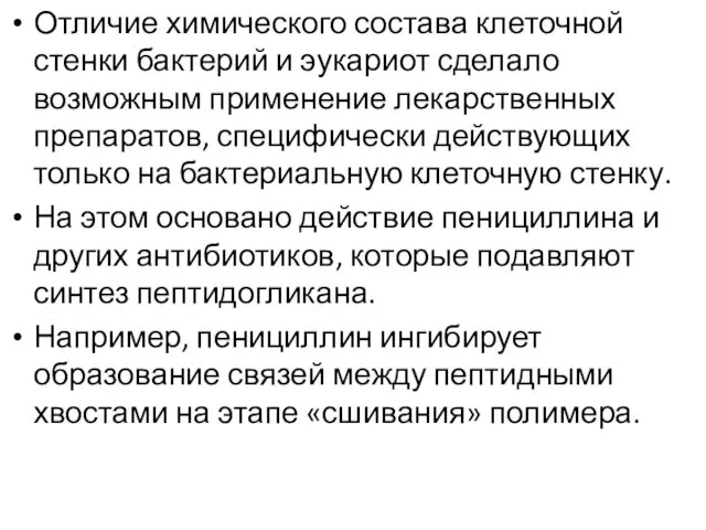 Отличие химического состава клеточной стенки бактерий и эукариот сделало возможным применение лекарственных препаратов,