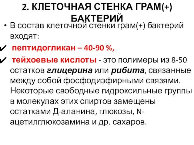 2. КЛЕТОЧНАЯ СТЕНКА ГРАМ(+) БАКТЕРИЙ В состав клеточной стенки грам(+) бактерий входят: пептидогликан