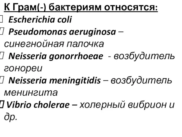 К Грам(-) бактериям относятся: Escherichia coli Pseudomonas aeruginosa – синегнойная палочка Neisseria gonorrhoeae