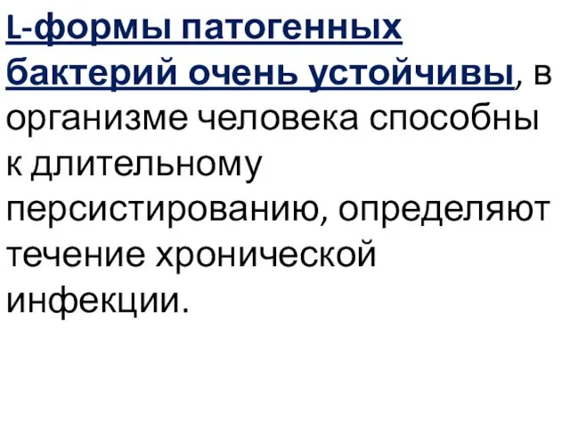 L-формы патогенных бактерий очень устойчивы, в организме человека способны к длительному персистированию, определяют течение хронической инфекции.