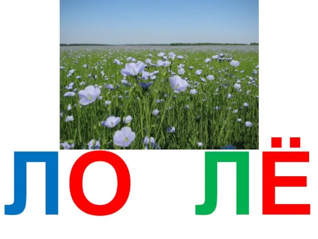 ЛО ЛЁ