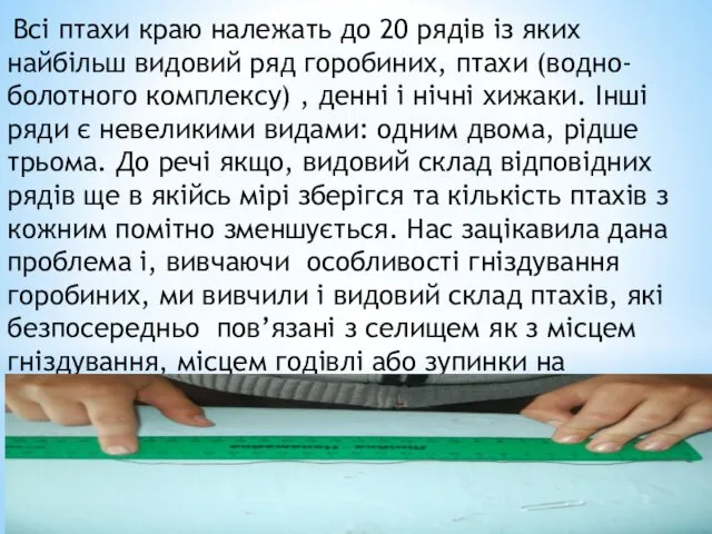 Всі птахи краю належать до 20 рядів із яких найбільш