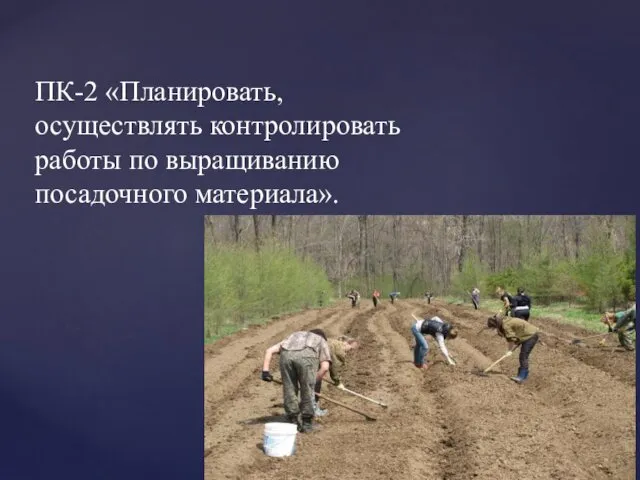 ПК-2 «Планировать, осуществлять контролировать работы по выращиванию посадочного материала».