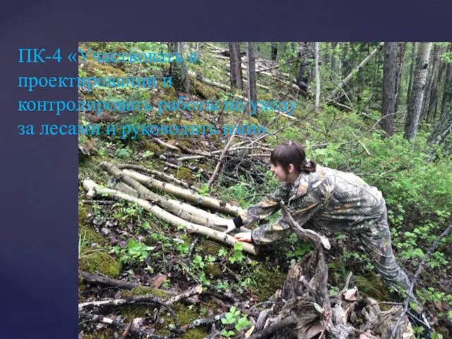ПК-4 «Участвовать в проектировании и контролировать работы по уходу за лесами и руководить ими».