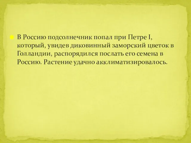 В Россию подсолнечник попал при Петре I, который, увидев диковинный