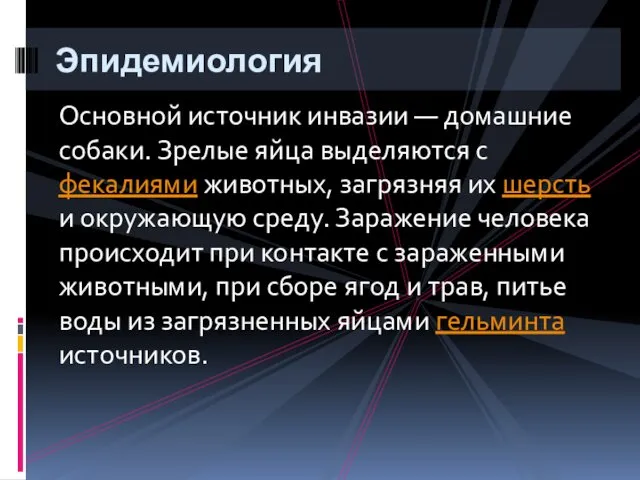 Основной источник инвазии — домашние собаки. Зрелые яйца выделяются с