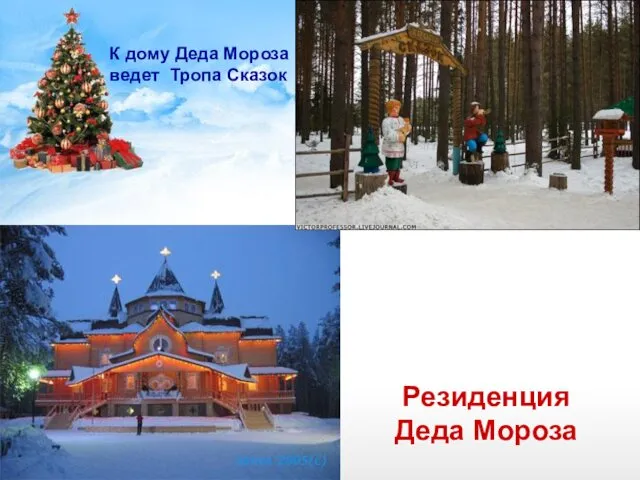 К дому Деда Мороза ведет Тропа Сказок Резиденция Деда Мороза