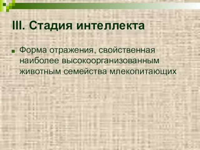 III. Стадия интеллекта Форма отражения, свойственная наиболее высокоорганизованным животным семейства млекопитающих