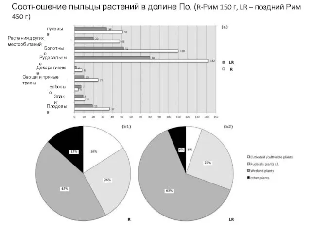 Плодовые Злаки Овощи и пряные травы Бобовые Декоративные Рудеральные Болотные