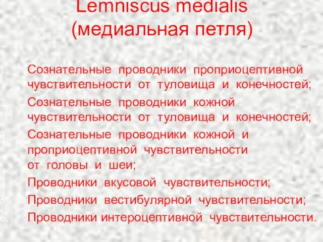 Lemniscus medialis (медиальная петля) Сознательные проводники проприоцептивной чувствительности от туловища