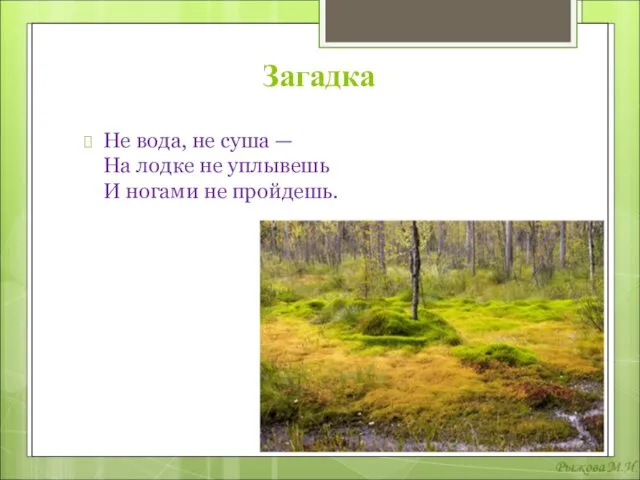 Загадка Не вода, не суша — На лодке не уплывешь И ногами не пройдешь.