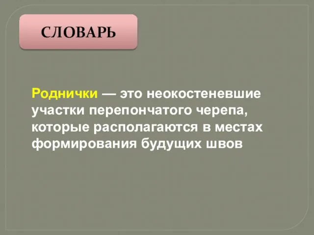 СЛОВАРЬ Роднички — это неокостеневшие участки перепончатого черепа, которые располагаются в местах формирования будущих швов