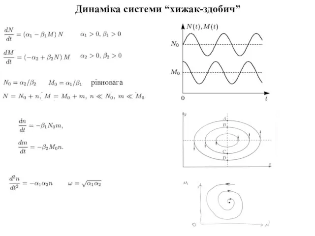 Динаміка системи “хижак-здобич” рівновага