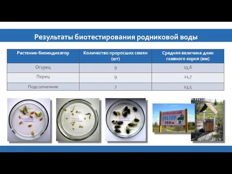 Результаты биотестирования родниковой воды