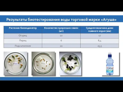 Результаты биотестирования воды торговой марки «Агуша»