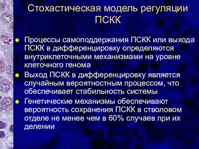 Стохастическая модель регуляции ПСКК Процессы самоподдержания ПСКК или выхода ПСКК