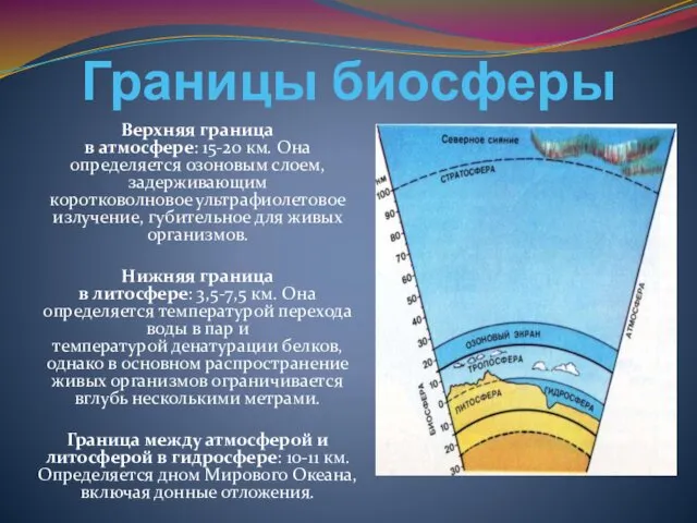 Границы биосферы Верхняя граница в атмосфере: 15-20 км. Она определяется