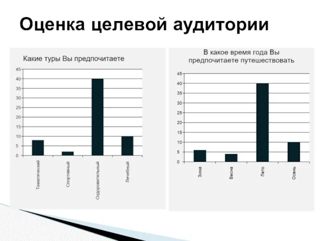 Оценка целевой аудитории