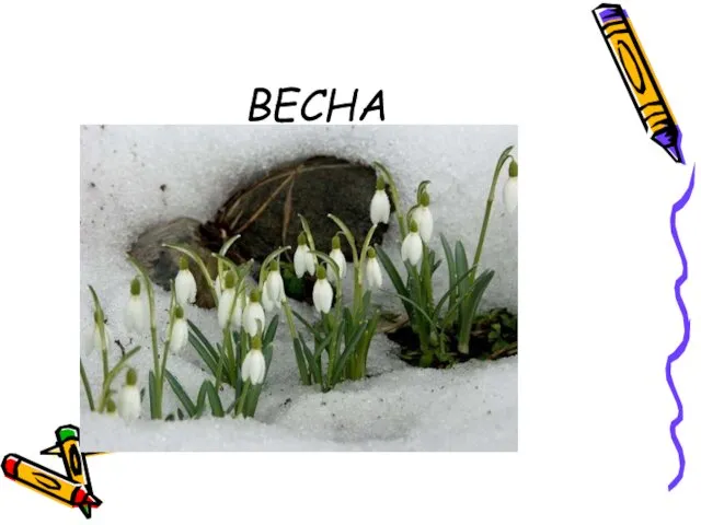 ВЕСНА