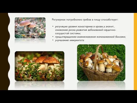 Регулярное потребление грибов в пищу способствует: регуляции уровня холестерина в