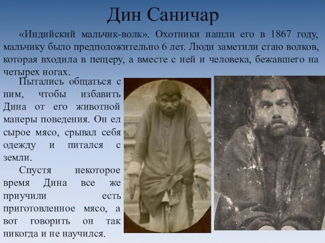 Дин Саничар «Индийский мальчик-волк». Охотники нашли его в 1867 году,