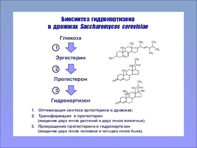 Биосинтез гидрокортизона в дрожжах Saccharomyces cerevisiae 1. Оптимизация синтеза эргостерина в дрожжах; 2.