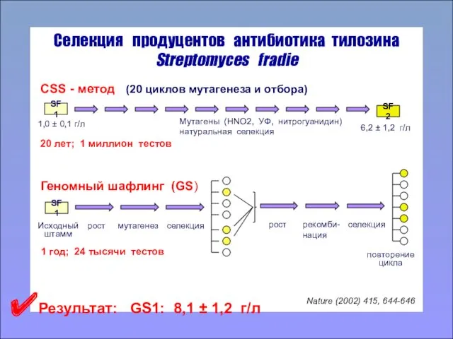 Селекция продуцентов антибиотика тилозина Streptomyces fradie Nature (2002) 415, 644-646 CSS - метод