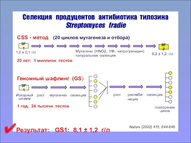 Селекция продуцентов антибиотика тилозина Streptomyces fradie Nature (2002) 415, 644-646