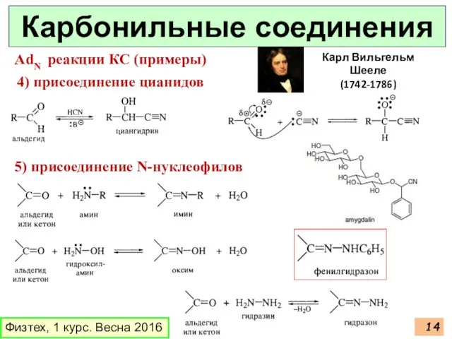 Физтех, 1 курс. Весна 2016 Карбонильные соединения 4) присоединение цианидов