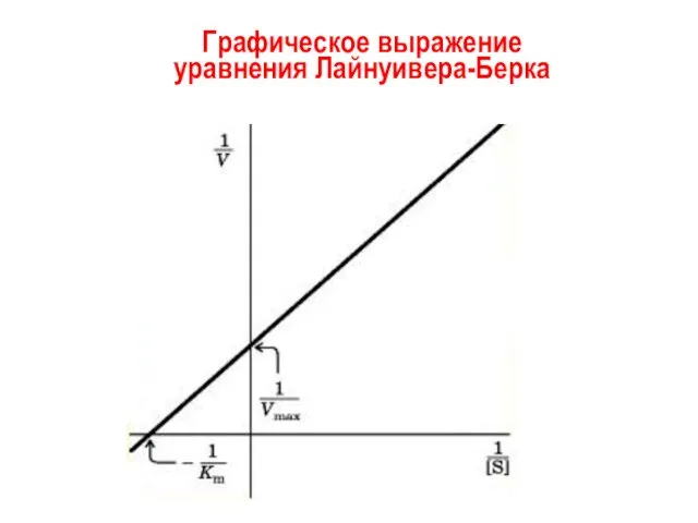 Графическое выражение уравнения Лайнуивера-Берка