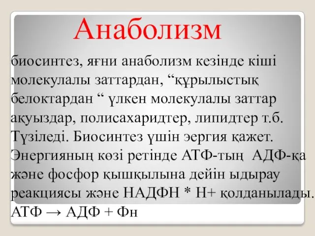 биосинтез, яғни анаболизм кезінде кіші молекулалы заттардан, “құрылыстық белоктардан “