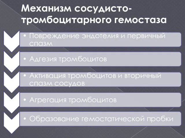 Механизм сосудисто-тромбоцитарного гемостаза