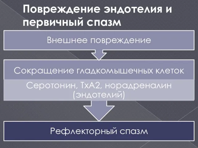 Повреждение эндотелия и первичный спазм