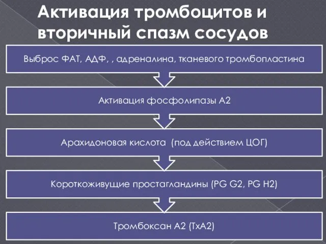 Активация тромбоцитов и вторичный спазм сосудов