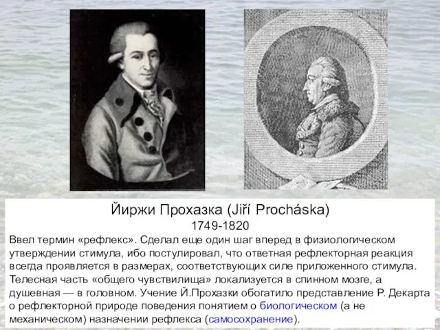Йиржи Прохазка (Jiří Procháska) 1749-1820 Ввел термин «рефлекс». Сделал еще