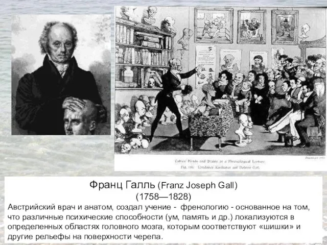 Франц Галль (Franz Joseph Gall) (1758—1828) Австрийский врач и анатом,