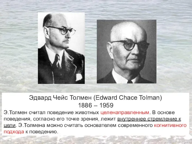 Эдвард Чейс Толмен (Edward Chace Tolman) 1886 – 1959 Э.Толмен